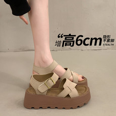 https://images.xiecdn.com/hongrui/5vngusbmudr82xldka4hfpec65q43cgi.jpg!bac